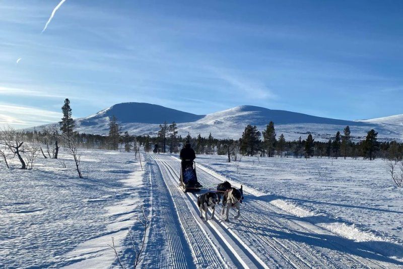Johnsgard Turistsenter Somadalen wintersport